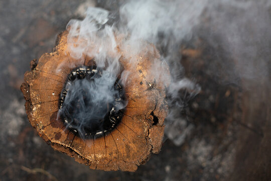 Smoking tree stump close up with burnt wood texture and smoke