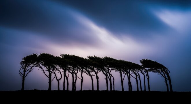 Powerful gusts distort a row of trees against a dark sky, illustrating extreme natural weather conditions and high winds, branch, natural, environment