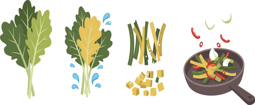 Leafy vegetables preparation process with washing chopping and cooking steps, healthy food vector illustration set for kitchen and nutrition design