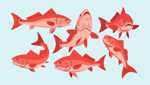 Flat Illustration Group of Redfish Sea Animal Ocean Creature