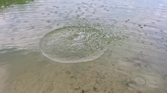 A small stone drops into clear shallow water outdoors in daylight, forms a brief vertical splash, then collapses into widening circular ripples that travel across the calm surface in slow motion.