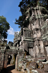 Obraz premium Ta Prohm Temple in the Angkor Wat archeological park. Siem Reap. Cambodia.