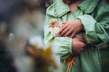 Child gently holding baby chicken, playing in garden during spring. © Halfpoint