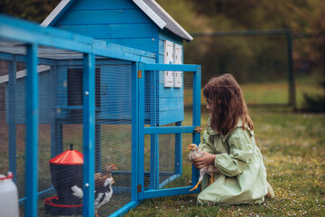 Girl taking care of chicken in family farm. © Halfpoint