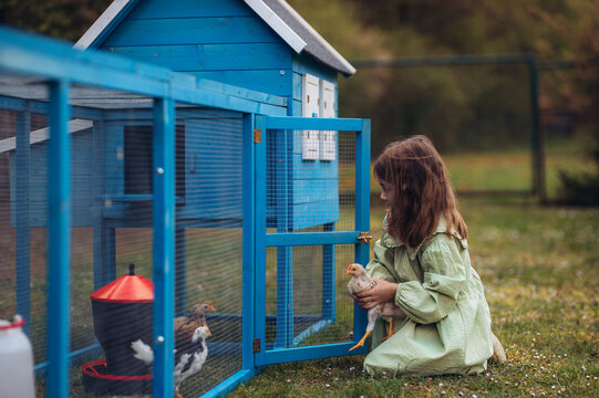 Girl taking care of chicken in family farm.