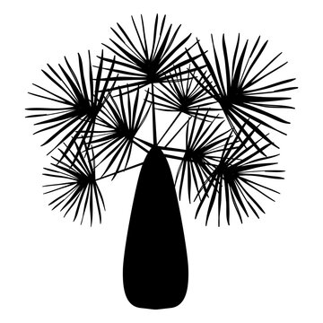Key thatch palm silhouette