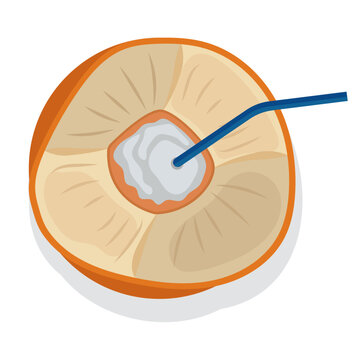 kingcoconut juice top view, tropical drink.