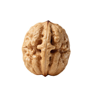 Close up of a walnut shell revealing its intricate texture and detailed structure