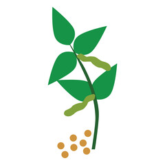 Obraz premium String beans Stem food