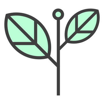 Palant leaves flower
