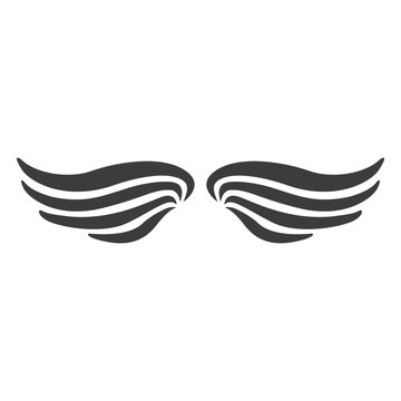 Wide phoenix wings 2