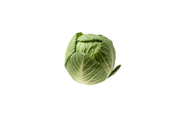 Fototapeta premium Fresh green cabbage head showing healthy eating
