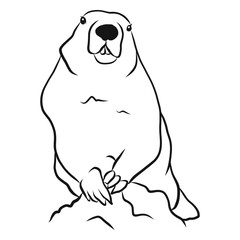 Fototapeta premium Groundhog animal sketch vector