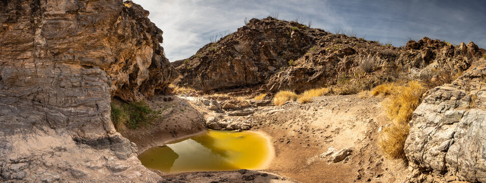 Panorama Of Unknown Wash With Stagnant Pools In Big Bend