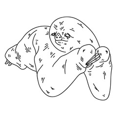 Claw sloth stroke © Vexels