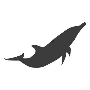 Dolphin tail flipper silhouette animal