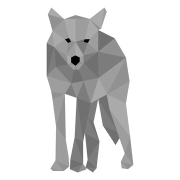 Tail wolf predator low poly