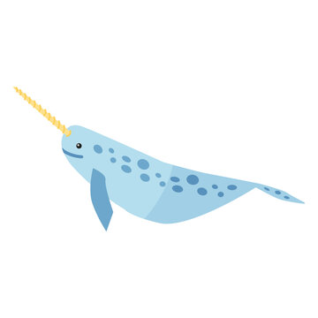 Narwhal tusk tail flipper flat