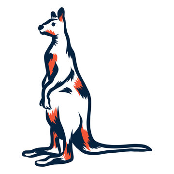 Kangaroo standing duotone