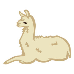 Obraz premium Llama sitting flat animal
