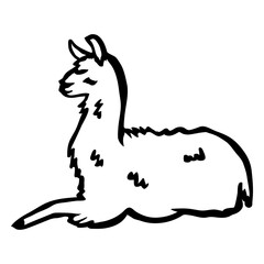 Obraz premium Llama sitting stroke llama
