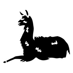 Obraz premium Llama sitting silhouette alpaca