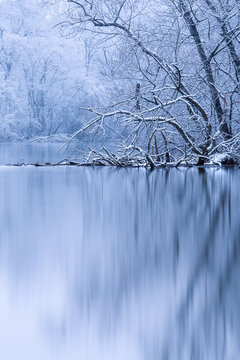 View into land across a river of snow covered trees in winter, USA