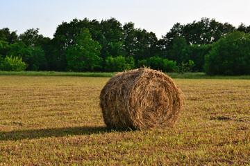Round Hay Bale in a Golden Field at Sunset © Irina