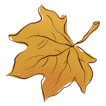Watercolor leaf autumn element