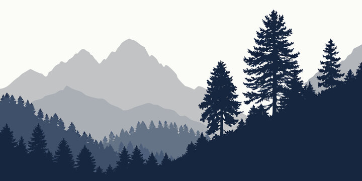Majestic evergreen trees towering against a snowy mountain range