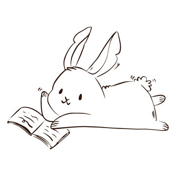 Cute bunny book animal
