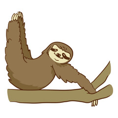 Fototapeta premium Sloth sitting on a branch