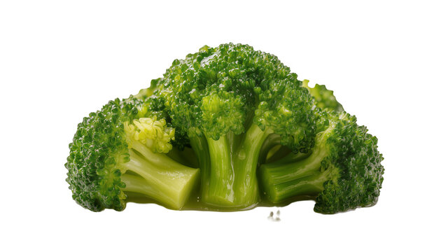 Isolated fresh vibrant green broccoli florets and stems arranged for healthy diet preparation