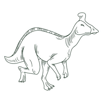 Parasaurus dinosaur