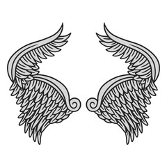 Fototapeta premium Fantastic angel wings