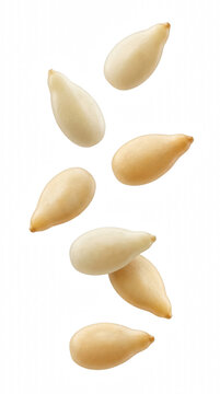 Seven hulled pine nuts falling in space