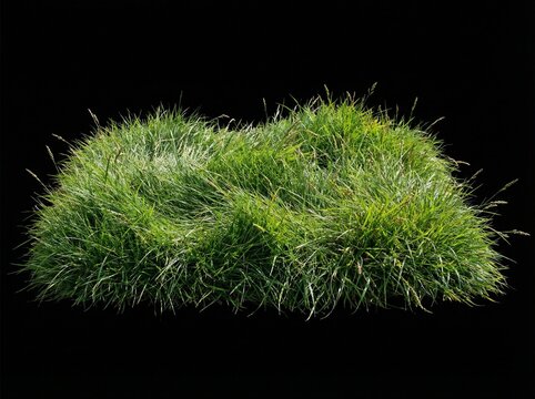 green grass on black background