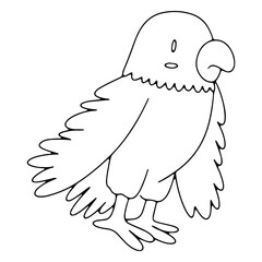 Obraz premium Confused cut parrot