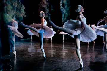 Classical ballerinas performing elegant ballet dance on stage. © Maria Moroz