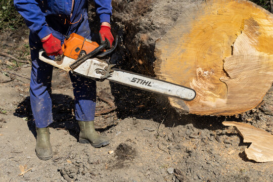 Close-Up of STIHL Saw in Action &ndash; Editorial Image for Woodworking and DIY Articles