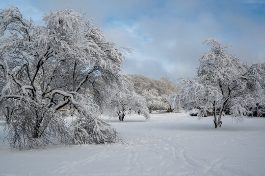 A picturesque winter scene in Hamburg, Germany, featuring a serene snowy landscape.