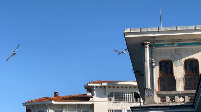 Seagulls soaring above historic Ottoman ferry terminal building on B&uuml;y&uuml;kada with ornate white wooden architecture against clear blue sky