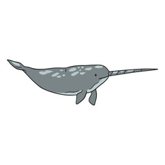 Narwhal illustration swimming © Vexels