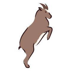 Fototapeta premium Goat is jumping