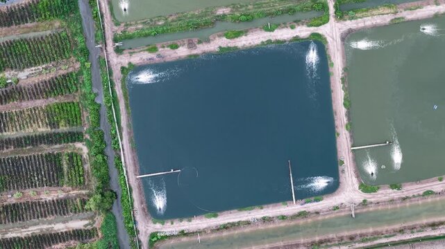 Aerial Fish Farm Pond Layout with Aerators and Canals