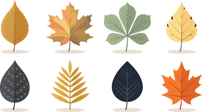 Autumn Leaf Icon Set with Maple Birch Chestnut and Decorative Foliage Shapes for Seasonal Nature Design Botanical Collection Vector Illustration