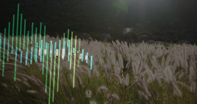 Tall grasses swaying while music input driving vertical bars overlaying grasses with sun flare