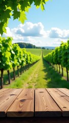 Fototapeta premium A wooden table set in front of a beautiful vineyard, perfect for outdoor dining or rustic events