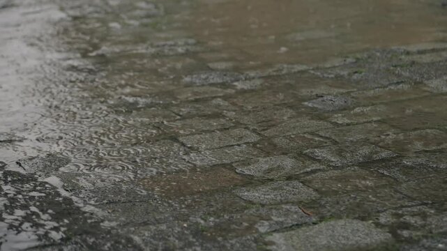Raindrops on wet cobblestone pavement