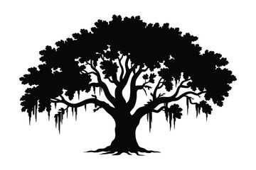 Fototapeta premium Live oak tree silhouette, elegant vector illustration of southern live oak adorned with hanging Spanish moss isolated on white background for landscape, botanical, nature, and outdoor design projects